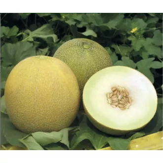 Sárgadinnye Marisole F1 Esasem - 1000 szem