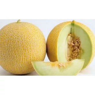 Sárgadinnye Exelor F1 Sakata - 500 szem