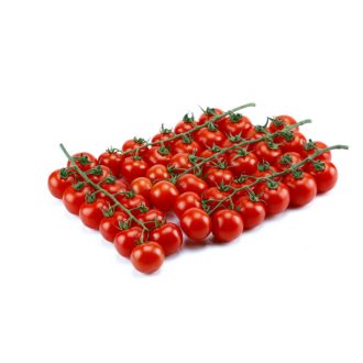 Paradicsom Sicuro F1 (CRX 75836) Cora Seeds - 1000 szem