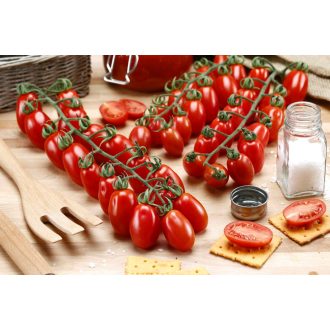 Paradicsom Grazioso F1 (IR ToBRFV) Cora Seeds - 1000 szem
