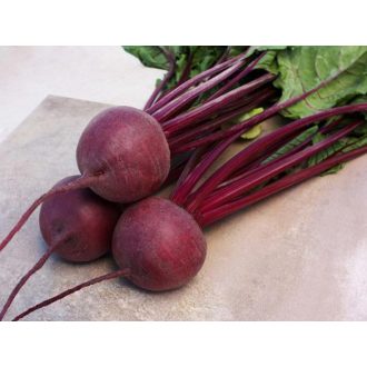Cékla Privilege F1 (CRX 409) Cora Seeds - 50.000 szem