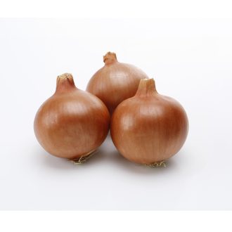 Vöröshagyma Elenka F1 Cora Seeds - 100.000 szem