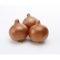 Vöröshagyma Elenka F1 Cora Seeds - 100.000 szem