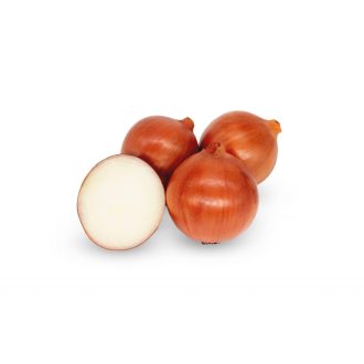   Vöröshagyma Magika F1 (CRX 2474) Precíziós Mag Cora Seeds - 100.000 szem