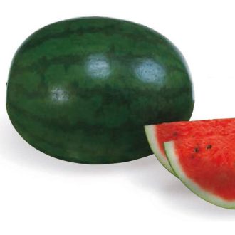 Görögdinnye Sugar Delicata F1 Sakata - 1000 szem