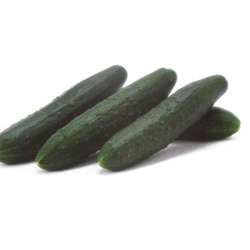 Uborka Kung Fu F1 Sakata - 1000 szem