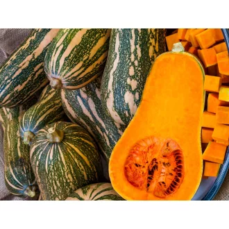 Sütőtök Barbara F1 Sakata - 500 szem