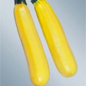 Cukkini Lemona F1 Sakata - 500 szem