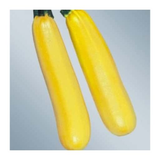 Cukkini Lemona F1 Sakata - 500 szem