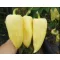 Paprika Polaris F1 Capsico - 100 szem