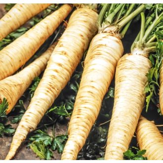 Petrezselyem Aston Alfal. - 100g