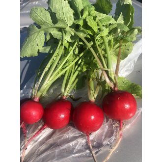 Retek Espresso F1 Alfal. - 50g