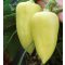 Paprika Adonis F1 Alfal. - 500 szem