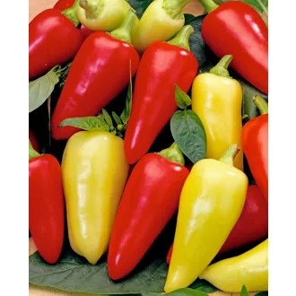 Paprika Monanta Alfal. - 1000 szem
