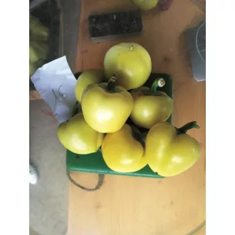 Paprika Evalma F1 Alfal. - 1000 szem