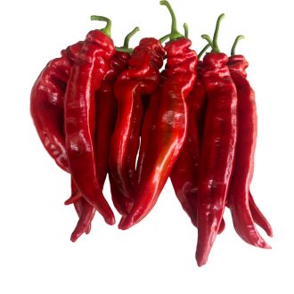 Paprika AL 701-17 F1 Alfal. - 100 szem