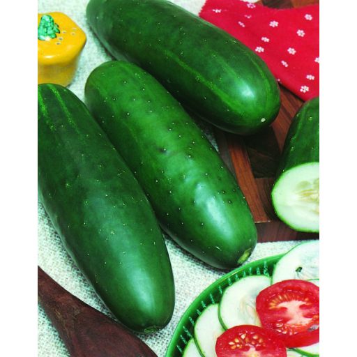 Uborka Jogger F1 (saláta) Alfal. - 500 szem