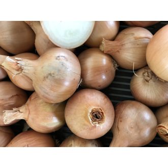 Vöröshagyma Anton F1 Alfal. - 100g.