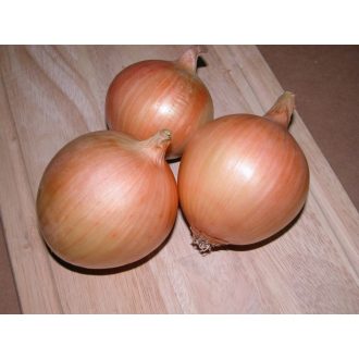 Vöröshagyma Unico F1 Alfal. - 25.000 szem