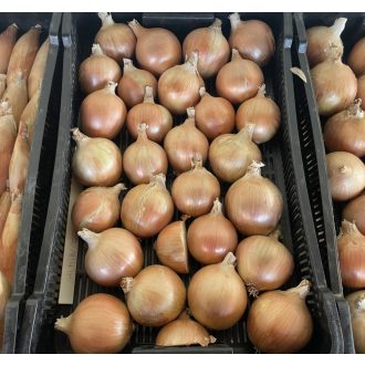 Vöröshagyma Armina F1 Alfal. - 25.000 szem