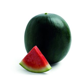 Görögdinnye Noam F1 Alfal. - 100 szem