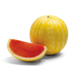 Görögdinnye Golda F1 Alfal. - 100 szem