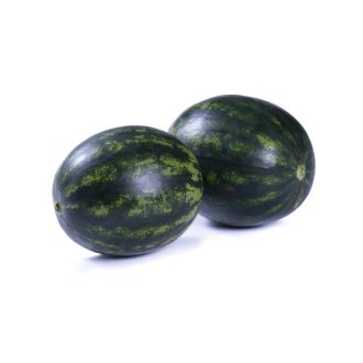 Görögdinnye Balos F1 RZ - 1000 szem