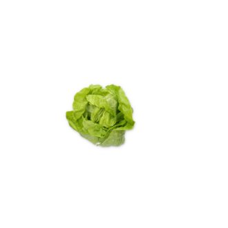Saláta Abellina RZ (43-BU8181) - 5000 szem