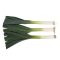 Póréhagyma Nebulus F1 (38-LE006) RZ - 2500 szem