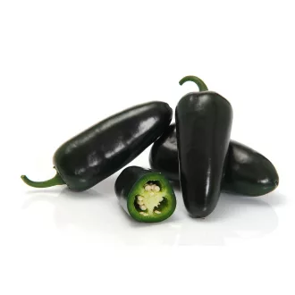 Paprika Black Bullet F1 Jalapeno Sakata - 500 szem