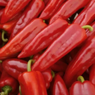 Paprika Kapro F1 Seminis - 1000 szem