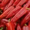 Paprika Kapro F1 Seminis - 1000 szem