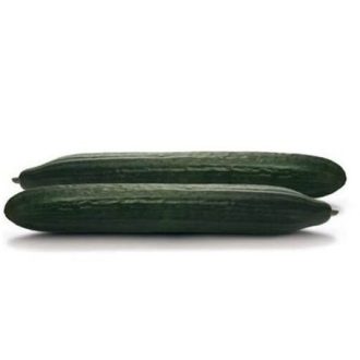 Uborka Invictus F1 Kígyó Seminis - 100 szem