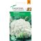 Karfiol Snowball X Agrosel - 0.5g