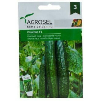 Uborka Columna F1 Kígyó Agrosel - 12 szem