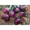 Vöröshagyma CRX 3720 F1 Lila Cora Seeds - 100.000 szem
