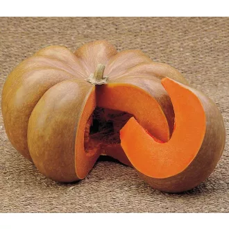 Sütőtök Musquee De Provance-Mini AlfaL. - 500 szem