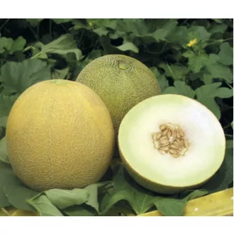 Sárgadinnye Marisole F1 Esasem - 100 szem