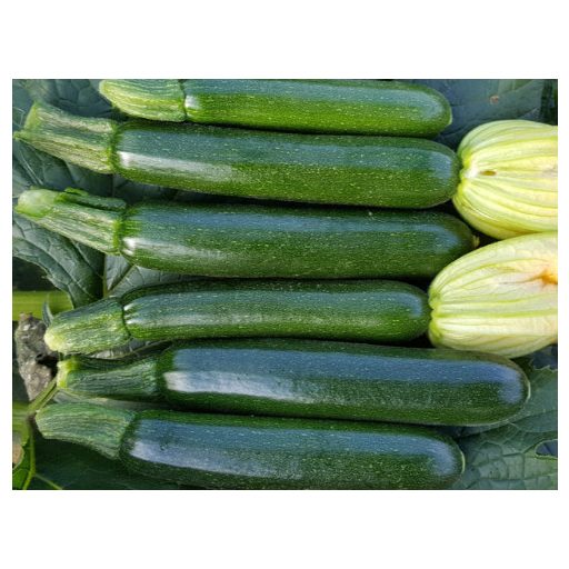 Cukkini Dessert F1 Enza - 250 szem