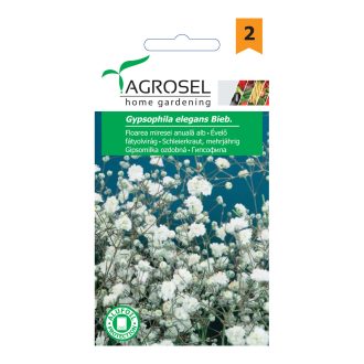 Évelő Fátyolvirág Fehér Agrosel - 1g