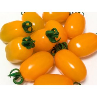 Paradicsom Santy Yellow F1 Enza - 100 szem