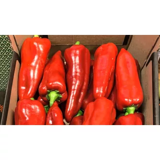 Paprika Seyhun F1 Kápia Nunhems - 1000 szem