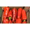 Paprika Seyhun F1 Kápia Nunhems - 1000 szem