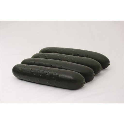 Uborka Marvila F1 Bejo - 250 szem