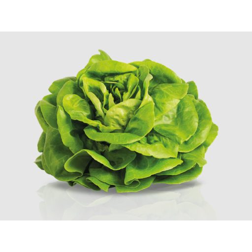 Saláta Jonas Pillírozott - 5000 szem