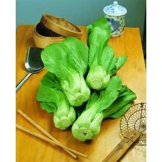 Pak Choi CASH F1 Semo - 100 szem