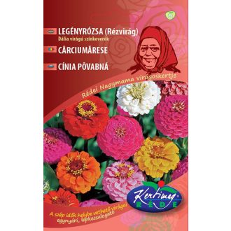  Legényrózsa (Legényvirág) Dália Virágú Sárga Rédei - 2g