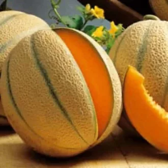 Sárgadinnye Peko F1 Esasem - 500 szem