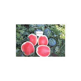 Görögdinnye CRX 100466 F1 Cora Seeds - 1000 szem