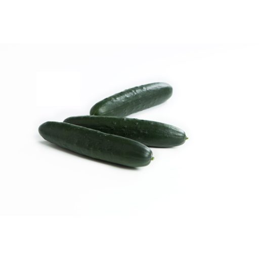 Uborka Kyogan F1 (21-SL977) RZ - 100 szem